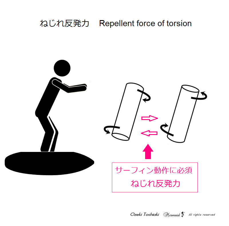 repellent force of torsion and surfing training ねじれ反発力とサーフィントレーニング｜サーフィントレーニングジム